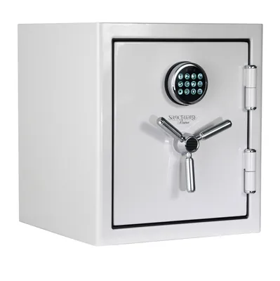 Sanctuary Reserve 1.69 Cu. Ft. Home & Office Safe with Electronic Lock